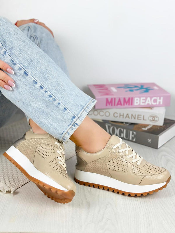 Tenis Casual Taupe ADDIC AND007TA - www.zitiocr.com